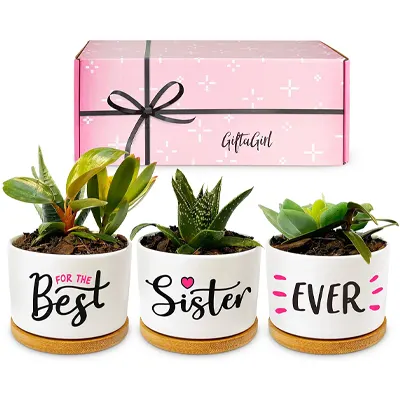 Christmas or Birthday Gifts for Sister like our Best Sister Gifts